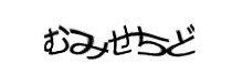 Authentication image