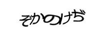 認証画像