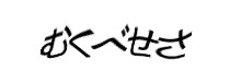 Authentication image